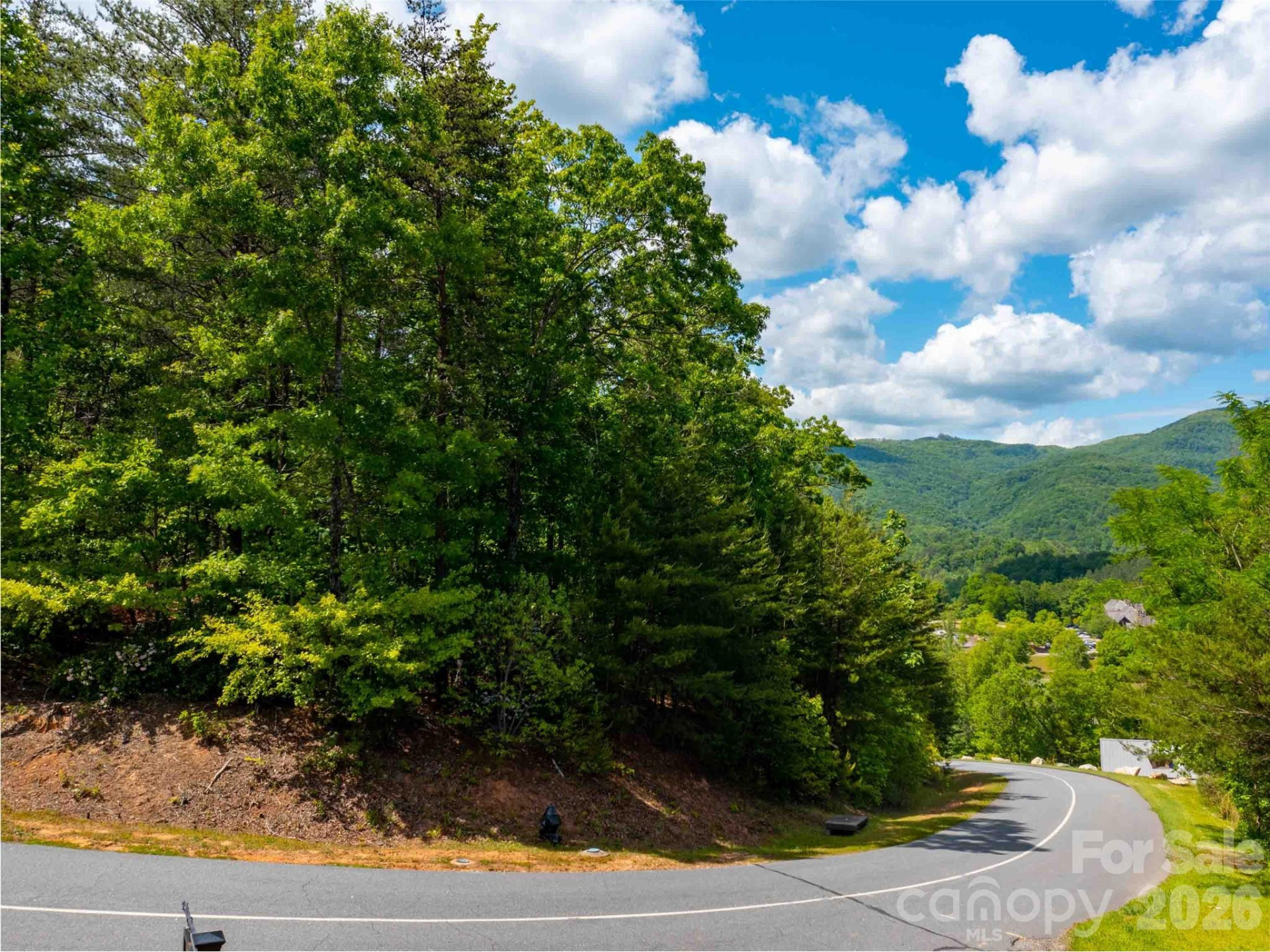 LOT 2012 Deep Gap Farm Road - Photo 2