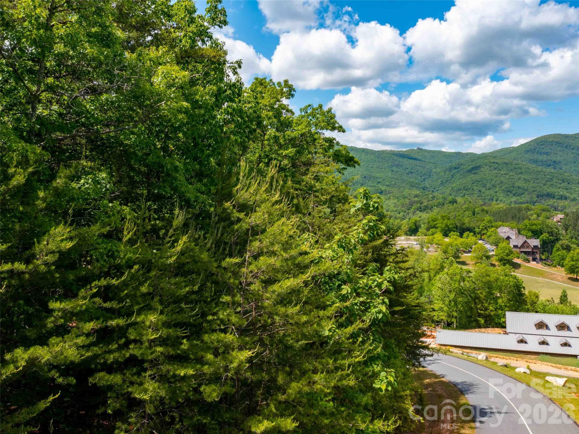 LOT 2012 Deep Gap Farm Road - Photo 7