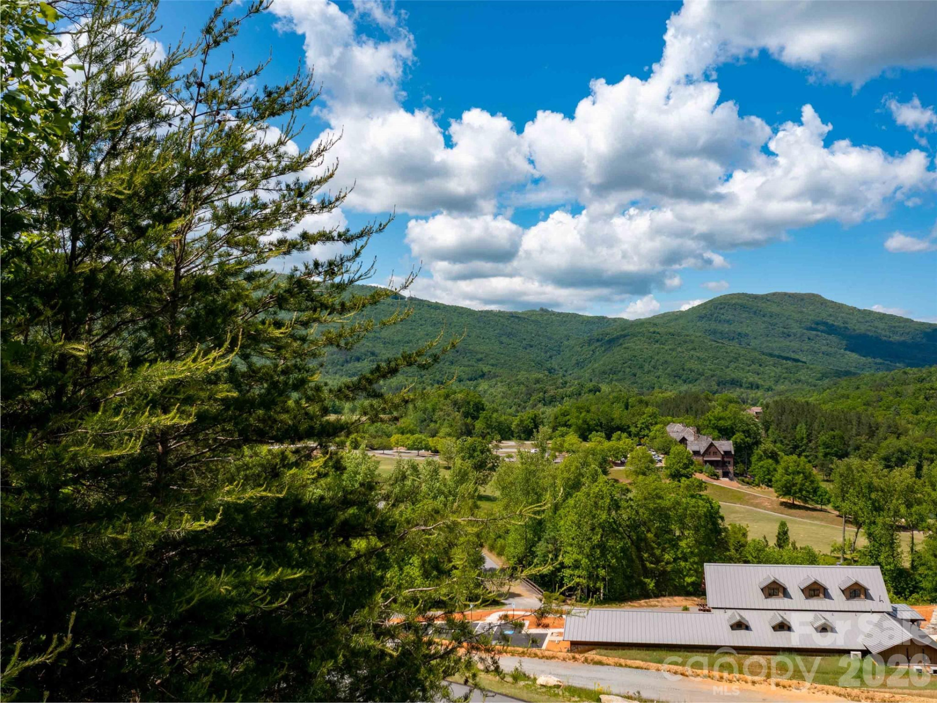 LOT 2012 Deep Gap Farm Road - Photo 8