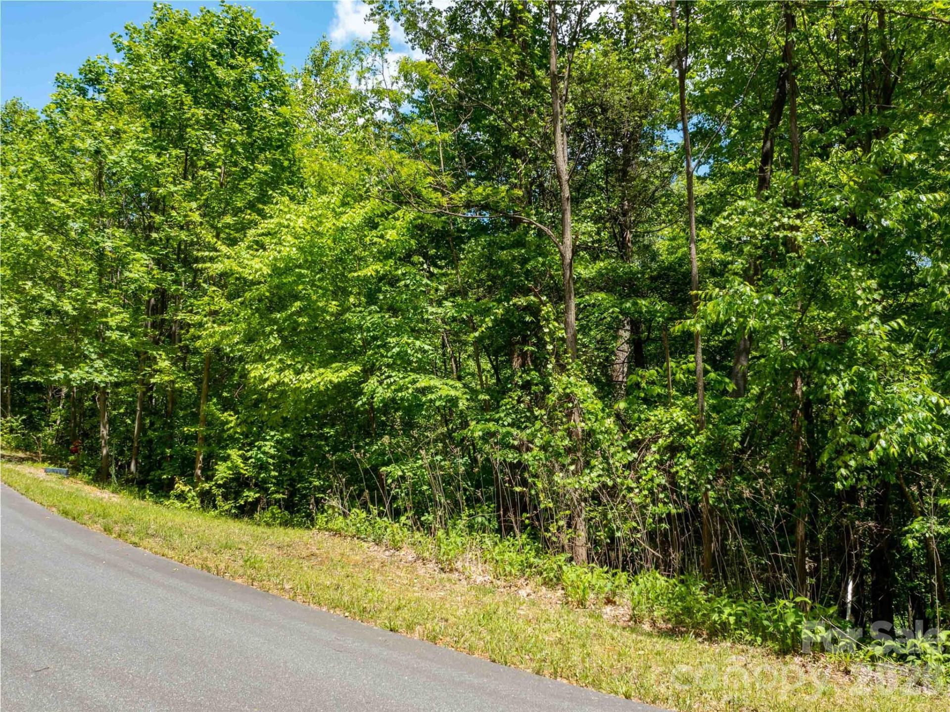 LOT 2111 Harm Creek Loop - Photo 2