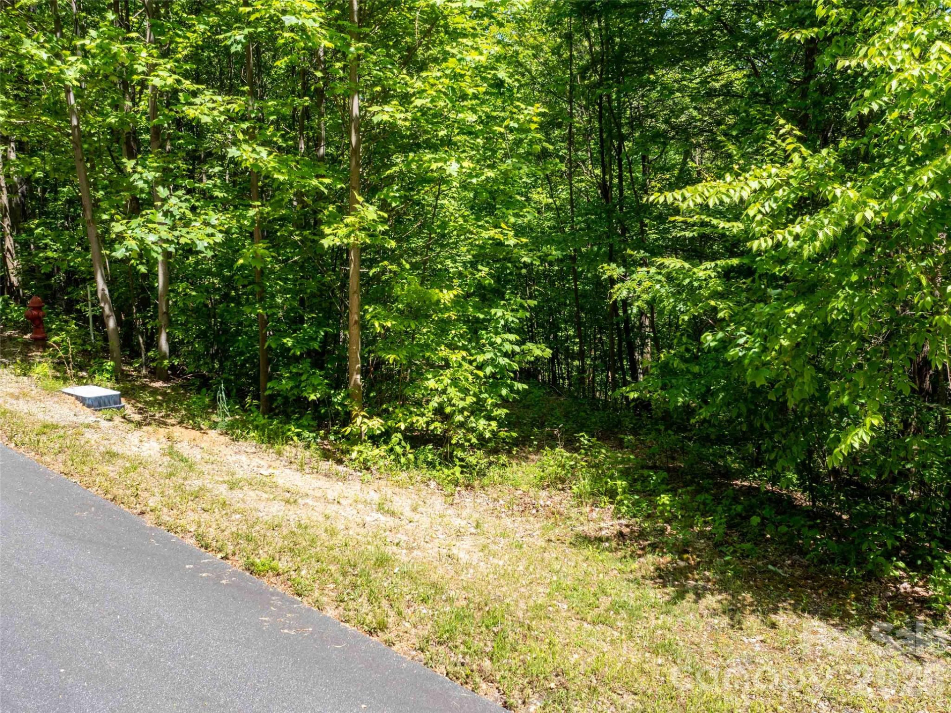 LOT 2111 Harm Creek Loop - Photo 3