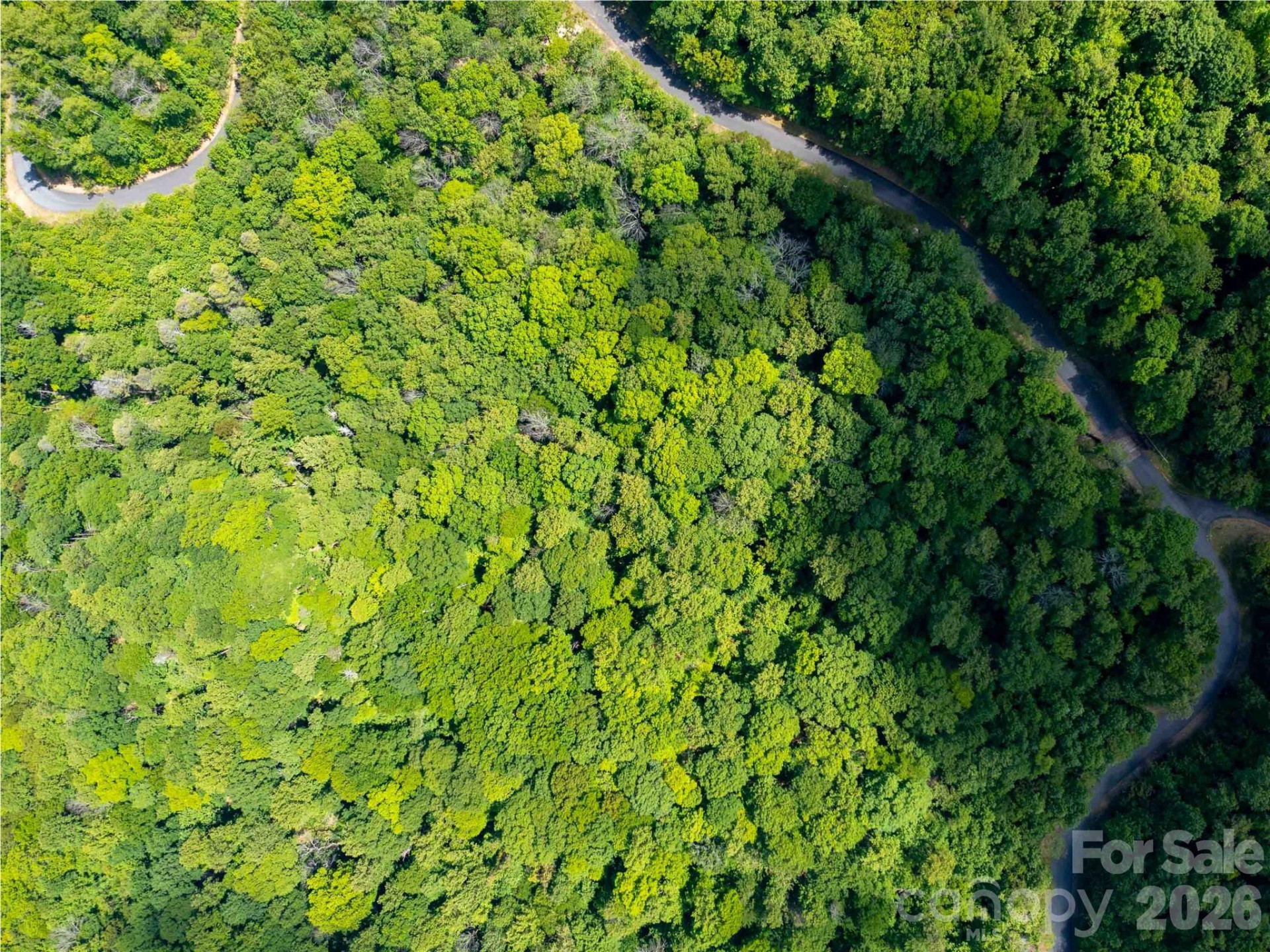 LOT 2111 Harm Creek Loop - Photo 5