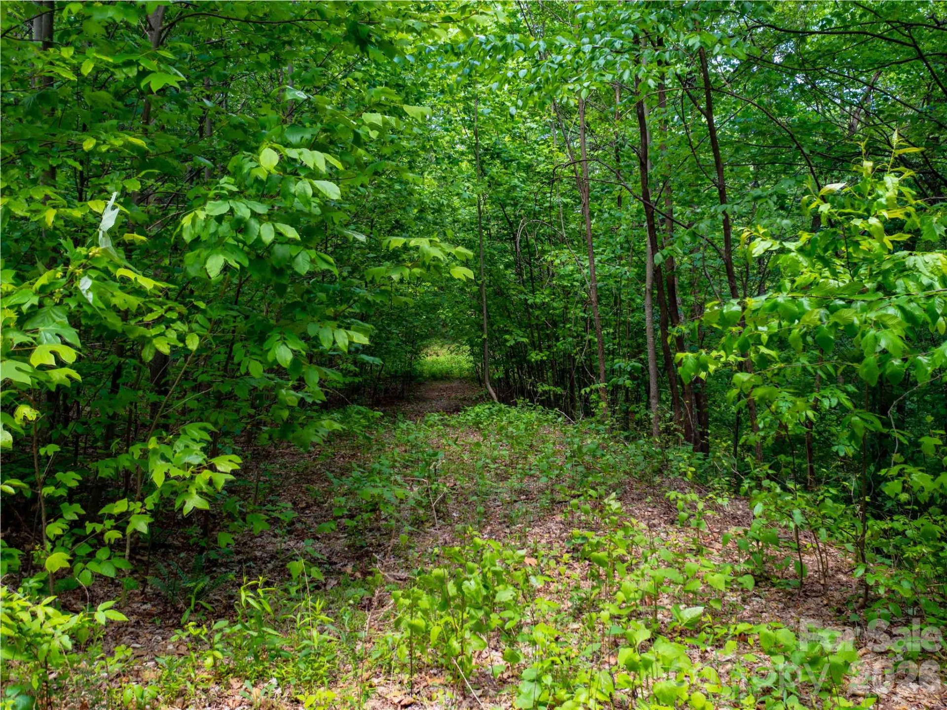 LOT 2111 Harm Creek Loop - Photo 6