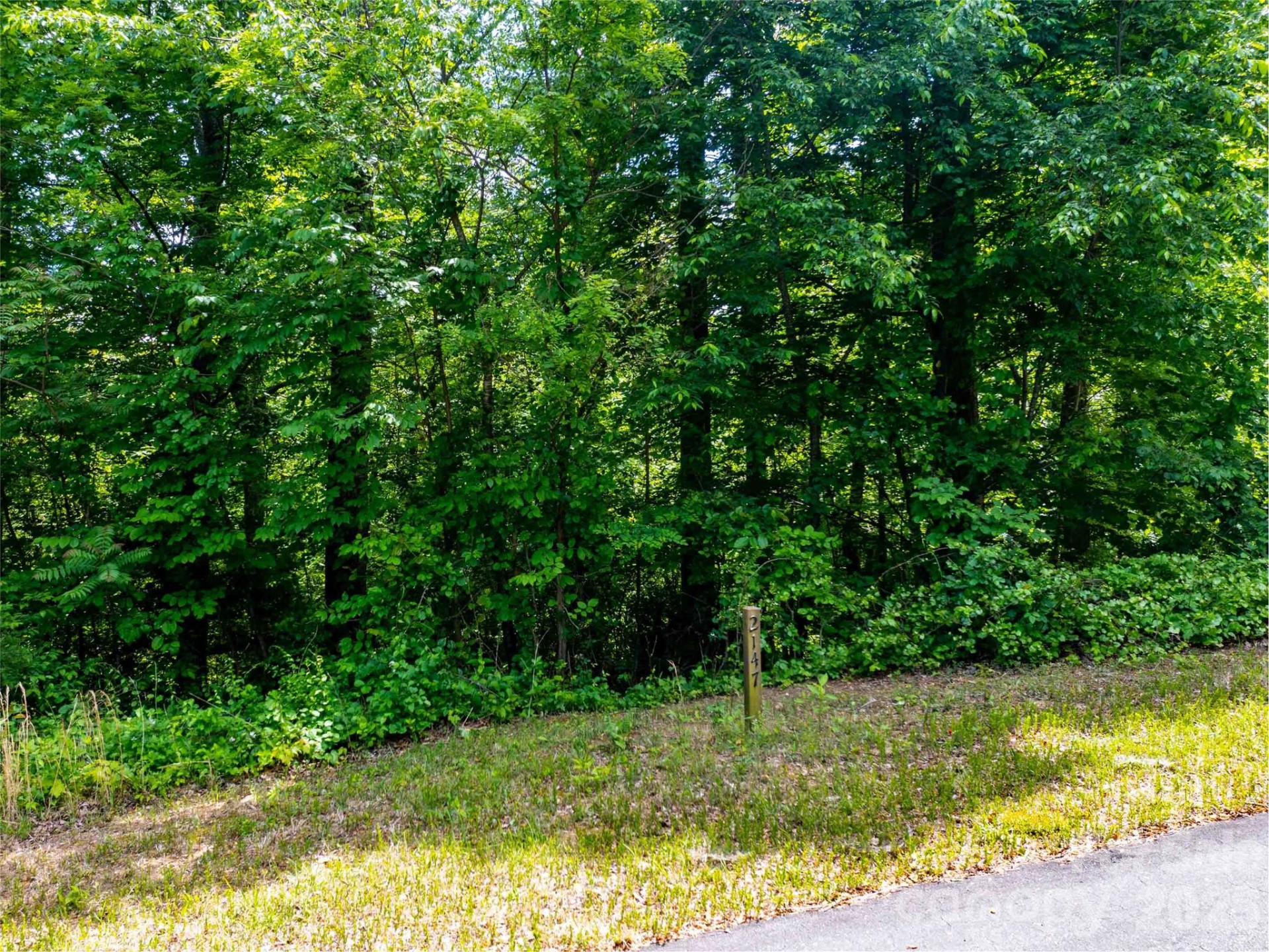 LOT 2147 Twin Falls Lane - Photo 2