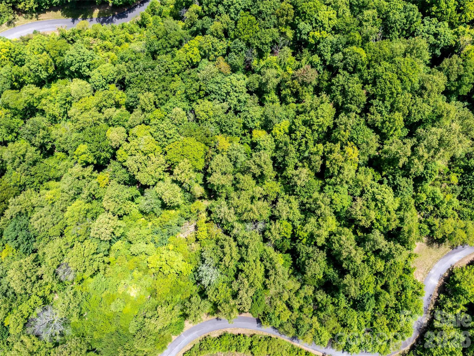 LOT 2147 Twin Falls Lane - Photo 3