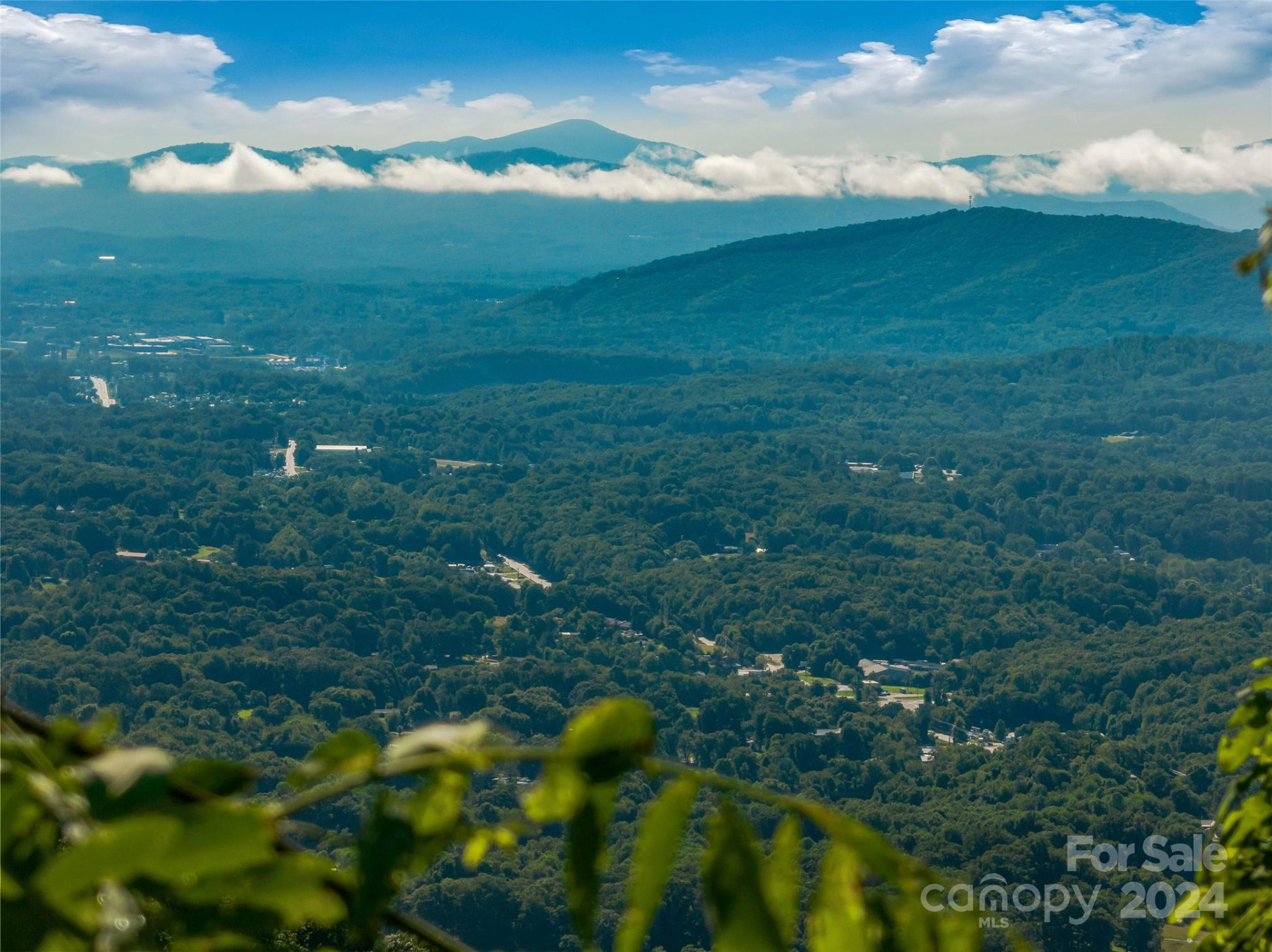 9999-28 Lovebird Lane #28 - Photo 13