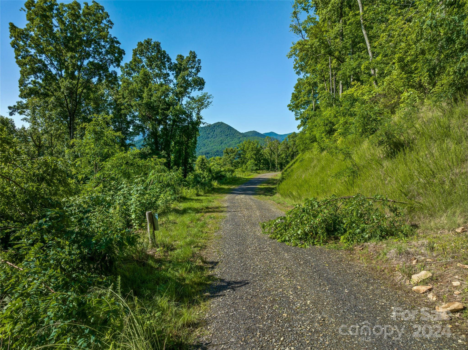9999-28 Lovebird Lane #28 - Photo 15