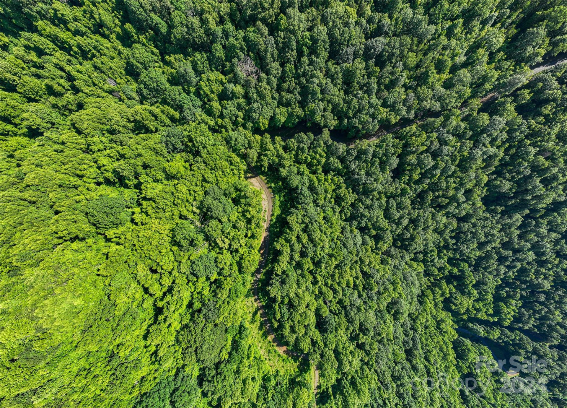 9999-28 Lovebird Lane #28 - Photo 16