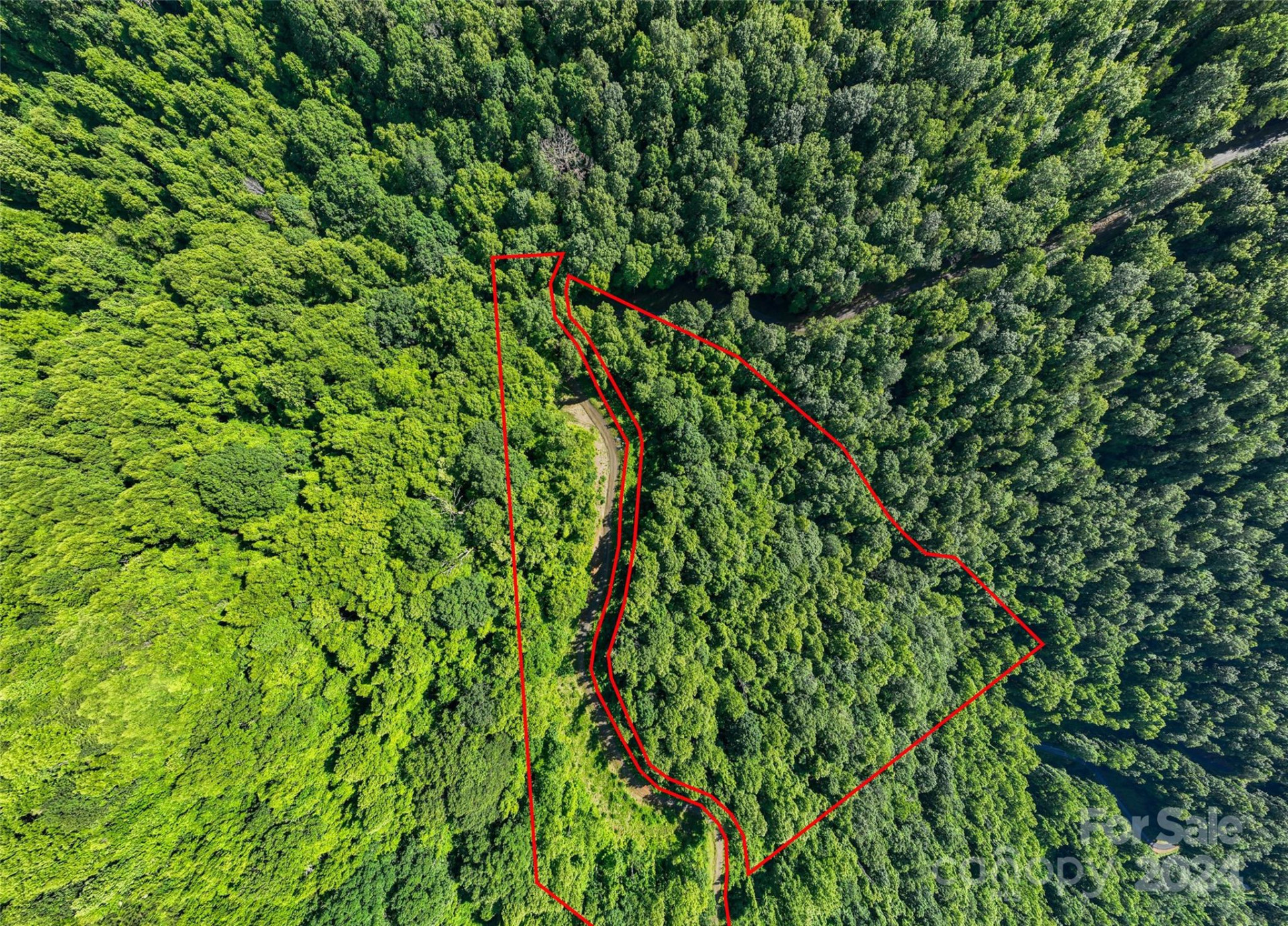 9999-28 Lovebird Lane #28 - Photo 17