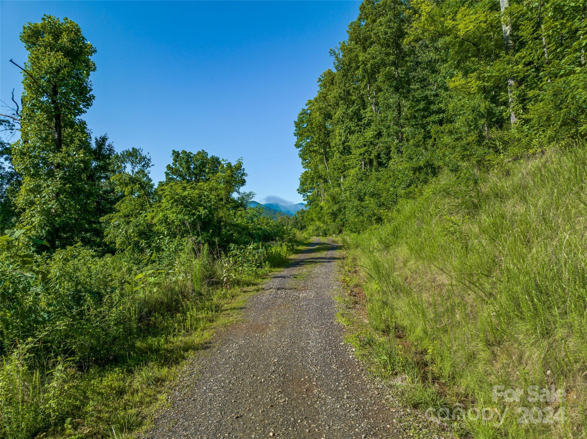 9999-28 Lovebird Lane #28 - Photo 18