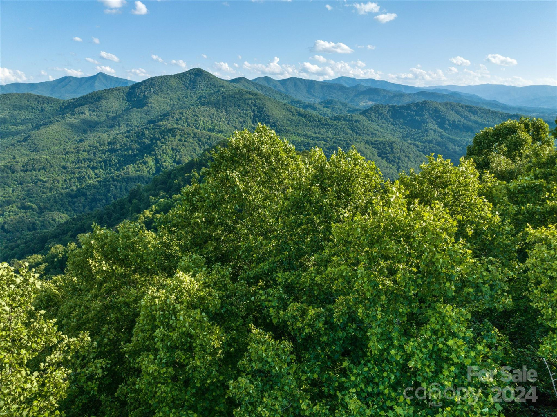 9999-28 Lovebird Lane #28 - Photo 4