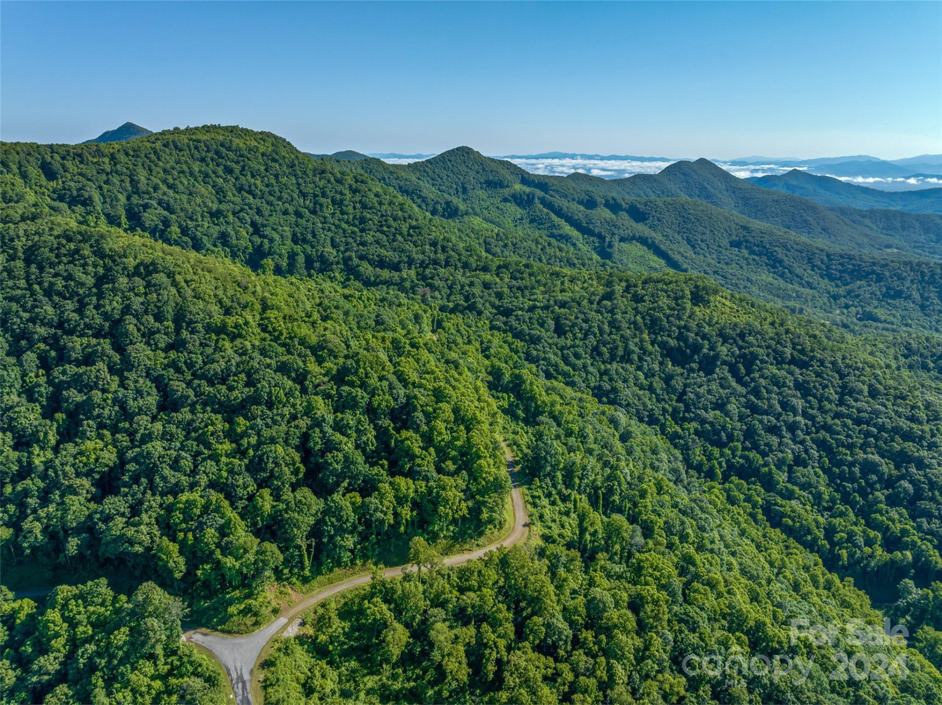 9999-28 Lovebird Lane #28 - Photo 5