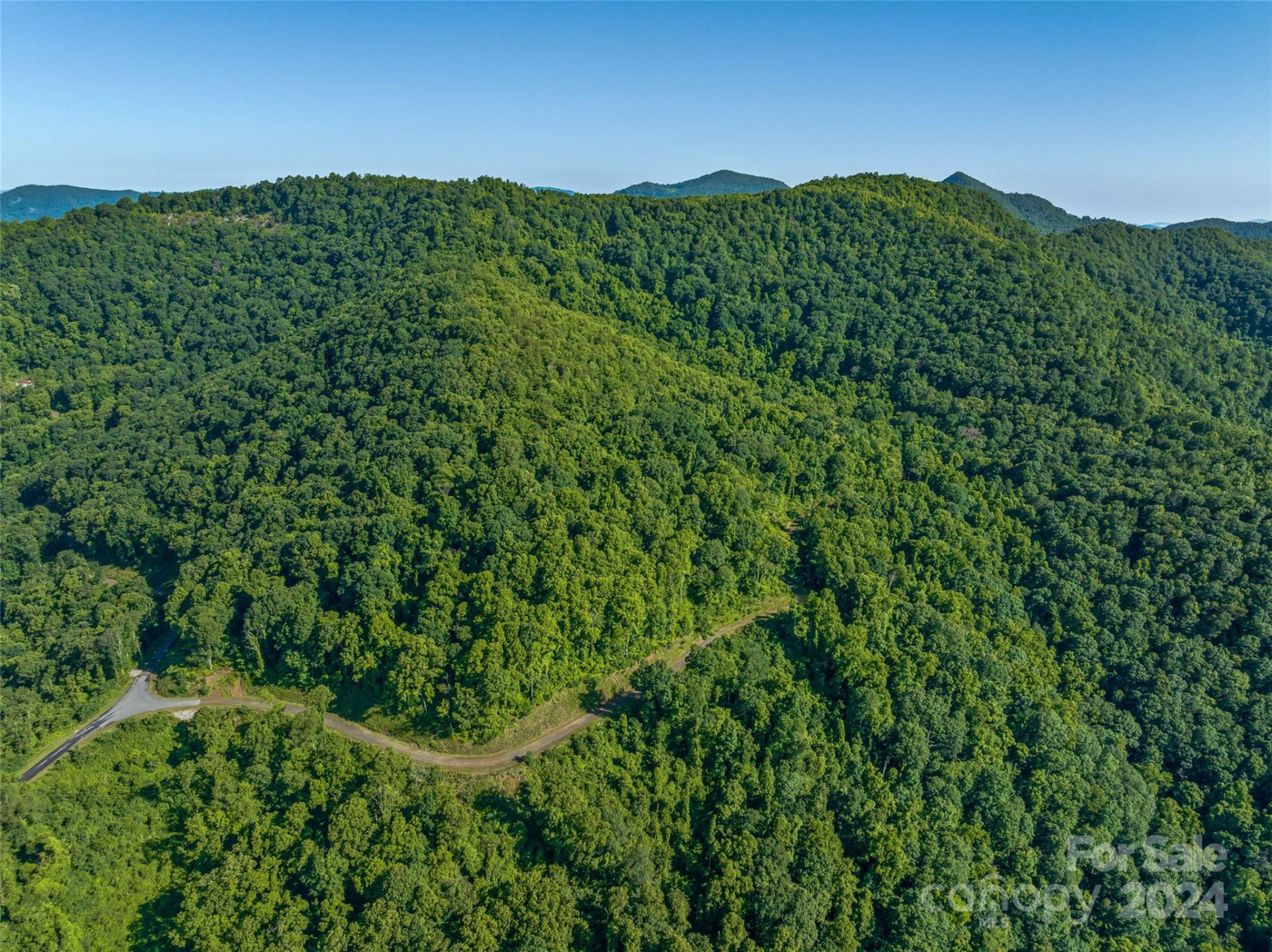 9999-28 Lovebird Lane #28 - Photo 6