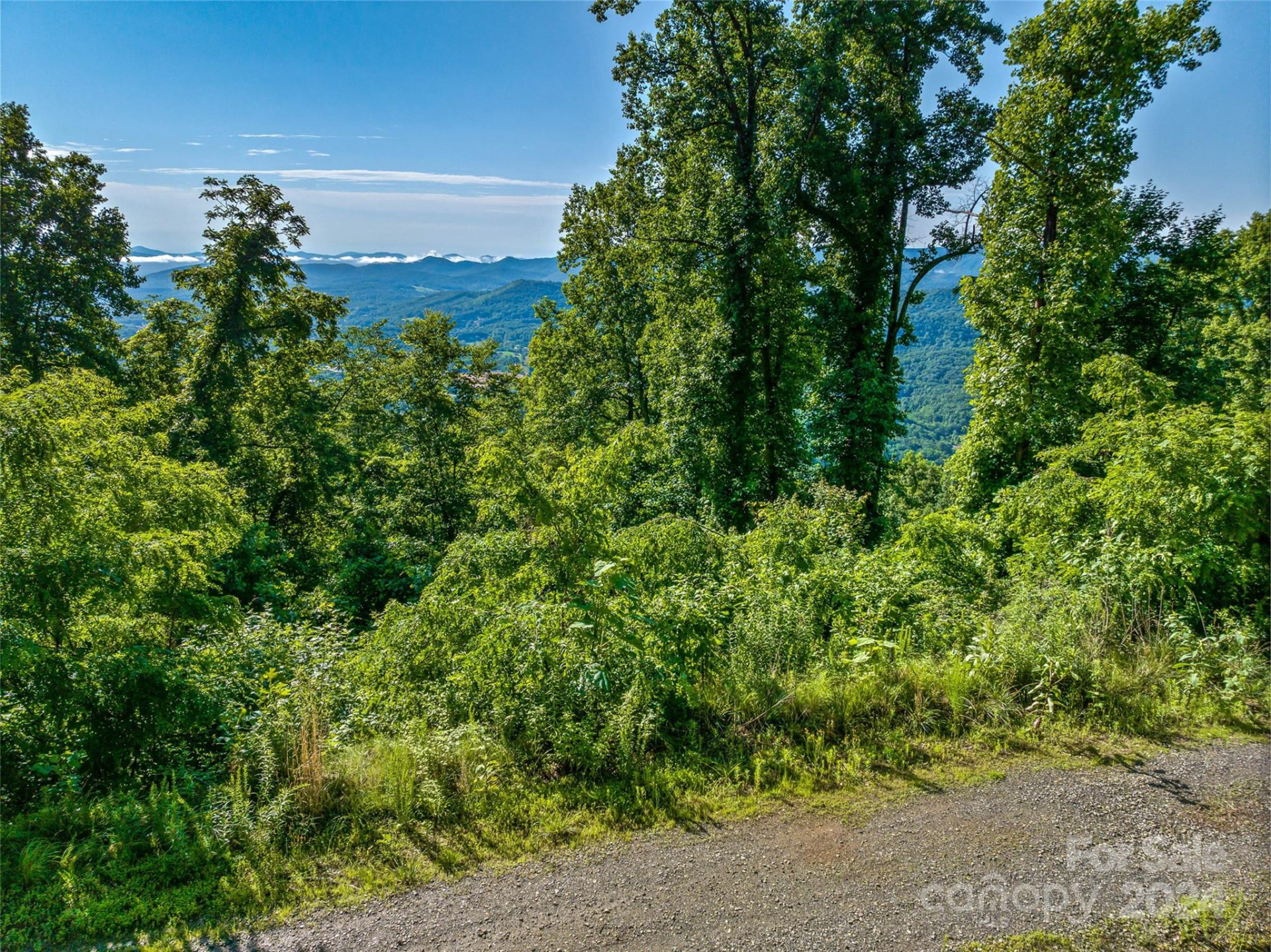 9999-28 Lovebird Lane #28 - Photo 10