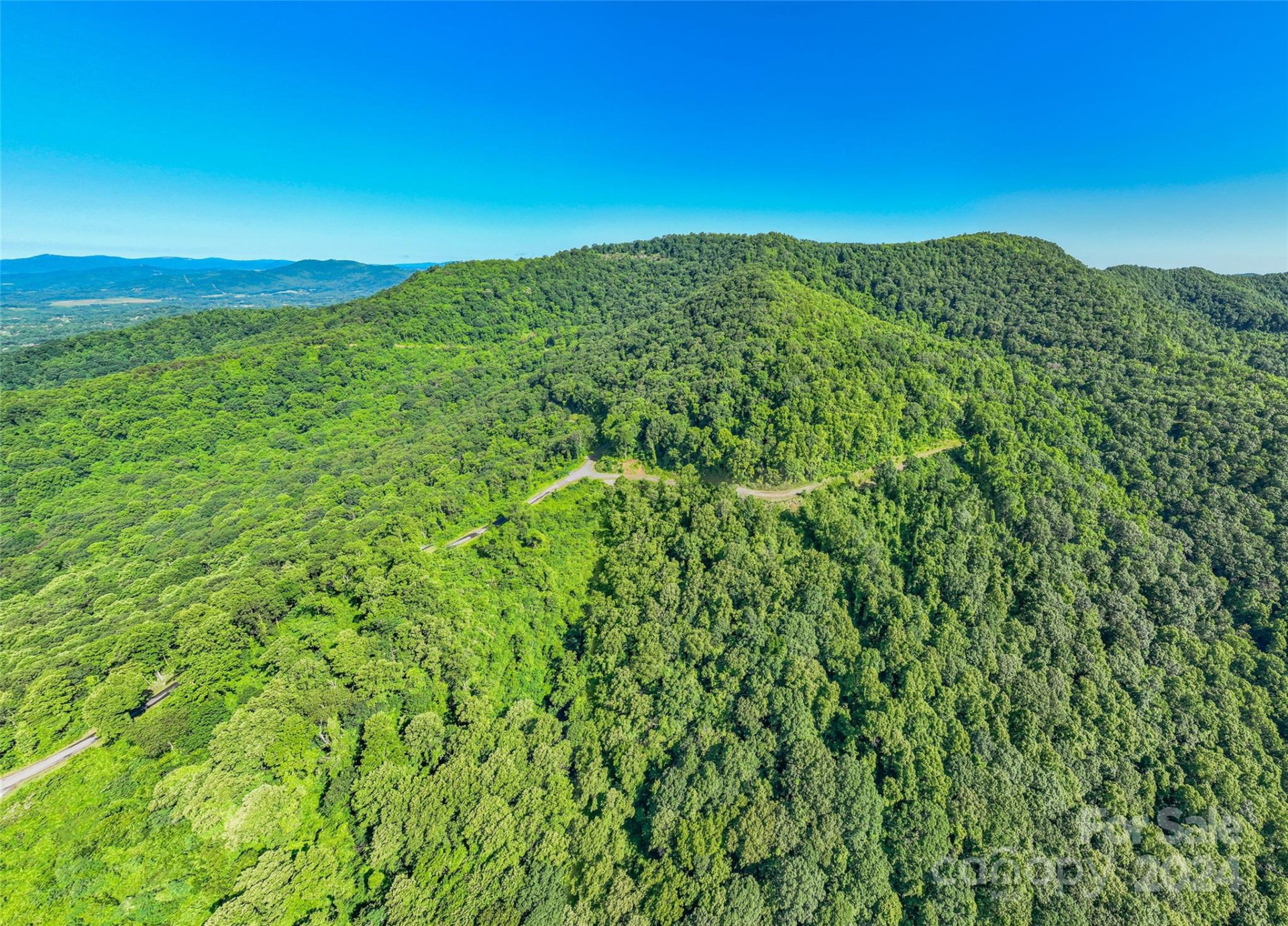 9999-29 Lovebird Lane #29 - Photo 11