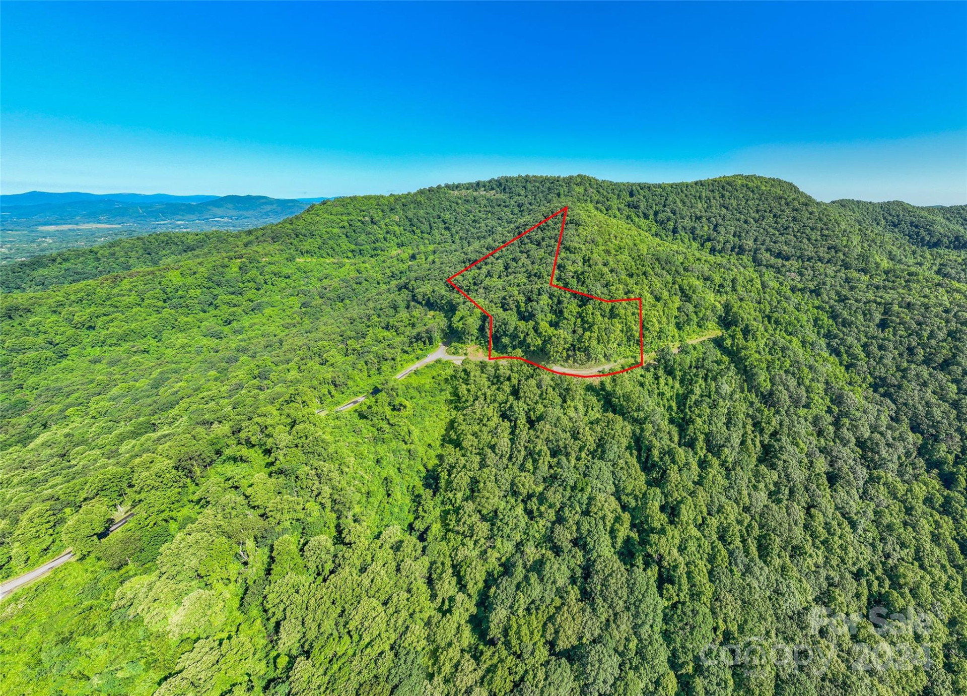 9999-29 Lovebird Lane #29 - Photo 12