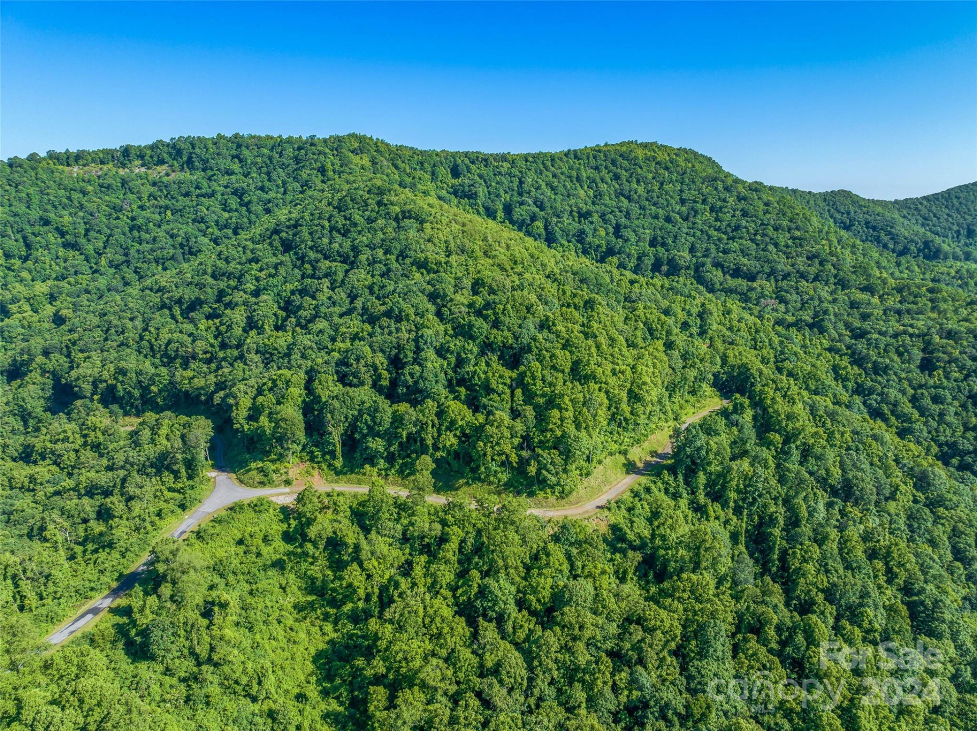 9999-29 Lovebird Lane #29 - Photo 16