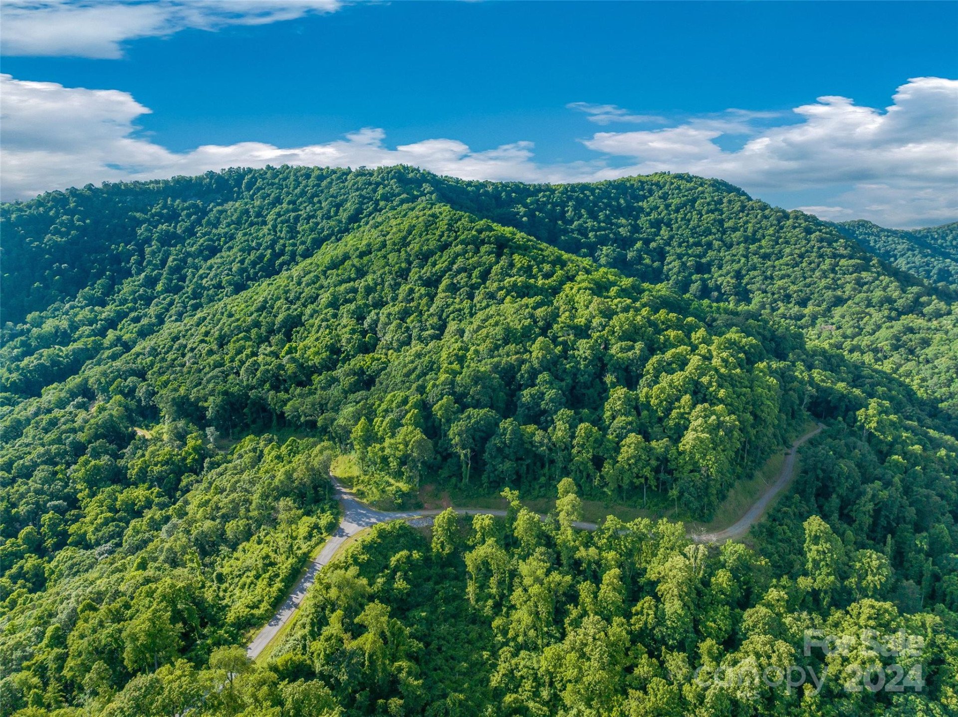 9999-29 Lovebird Lane #29 - Photo 19