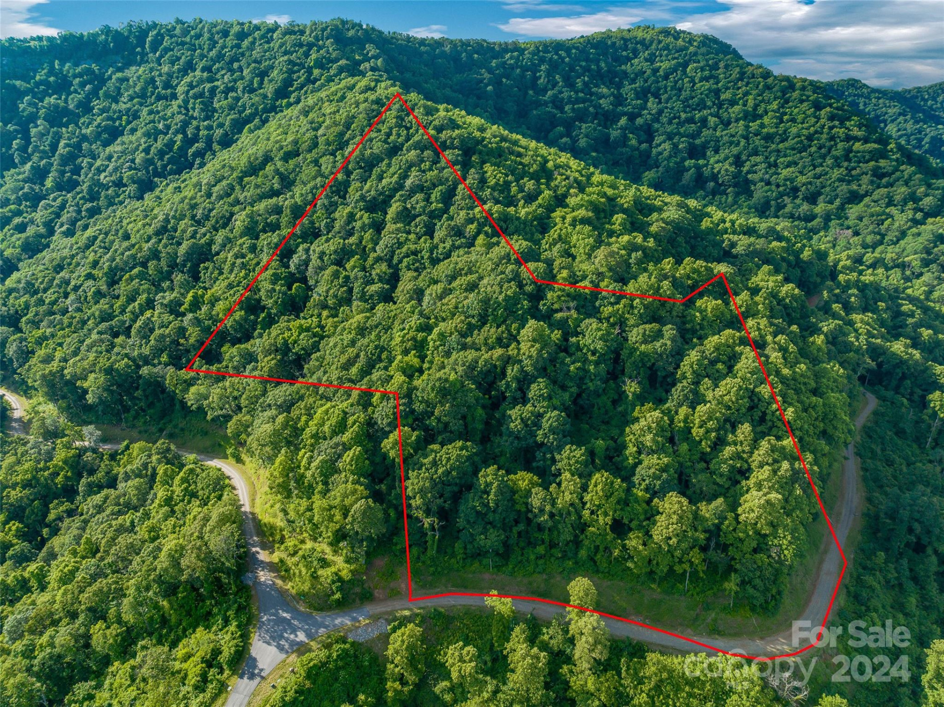 9999-29 Lovebird Lane #29 - Photo 3