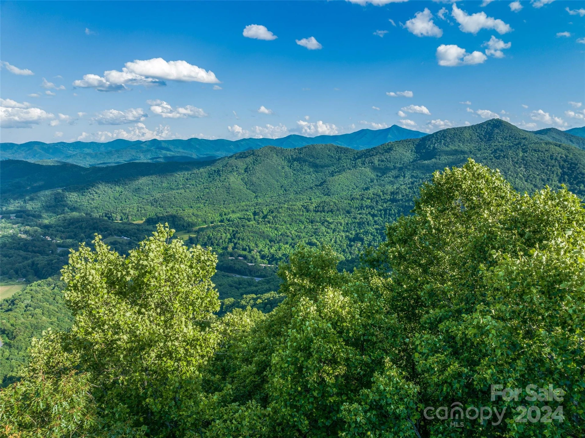 9999-29 Lovebird Lane #29 - Photo 4