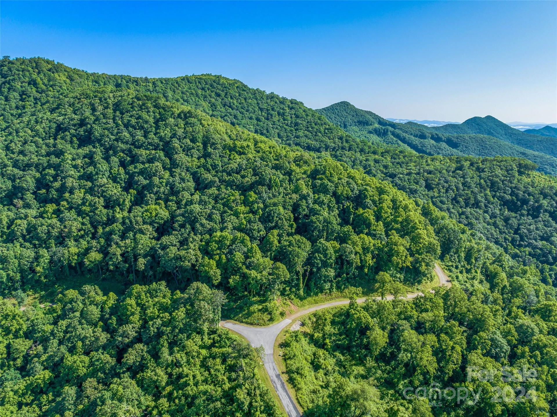 9999-29 Lovebird Lane #29 - Photo 5