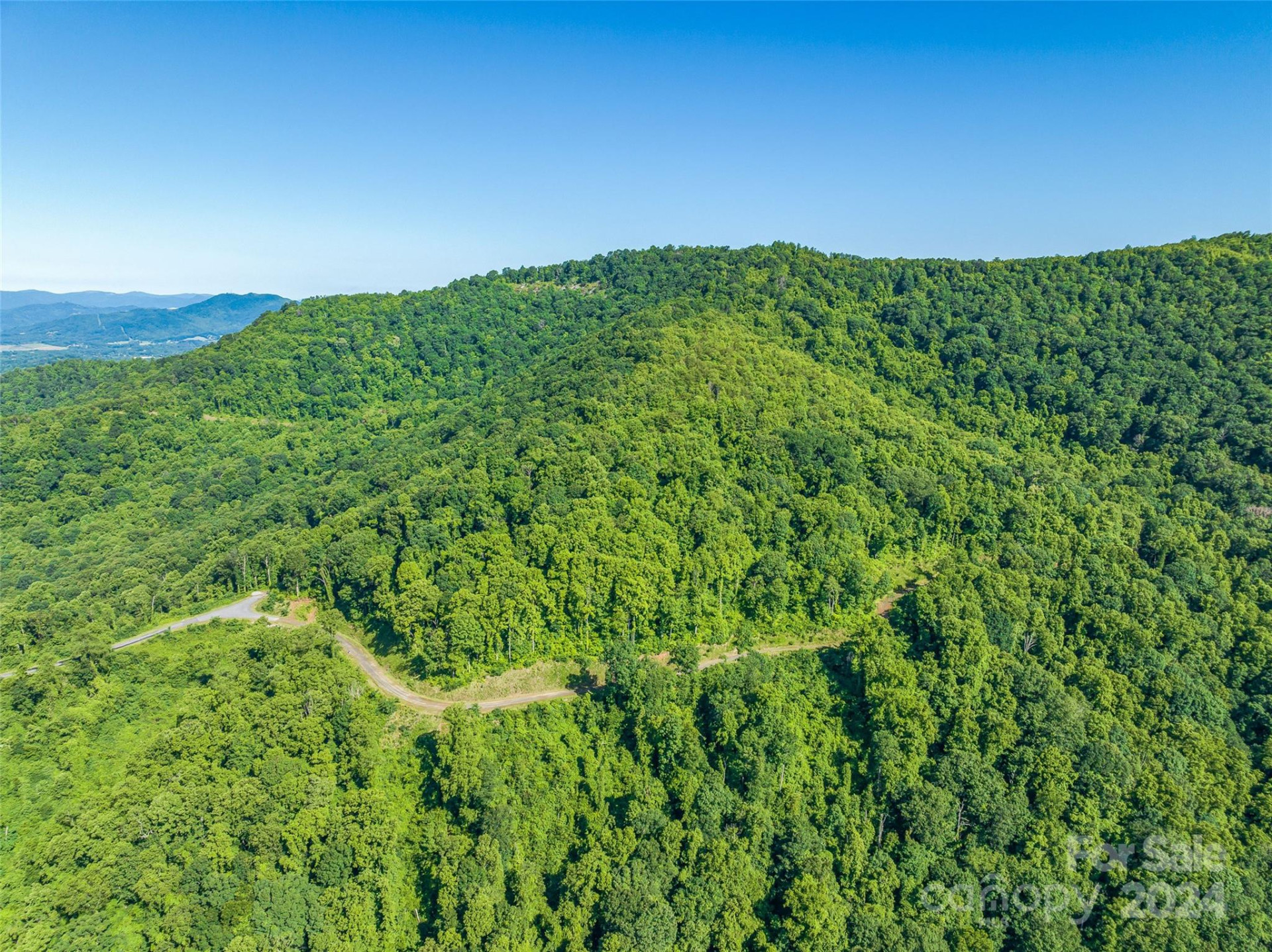 9999-29 Lovebird Lane #29 - Photo 6