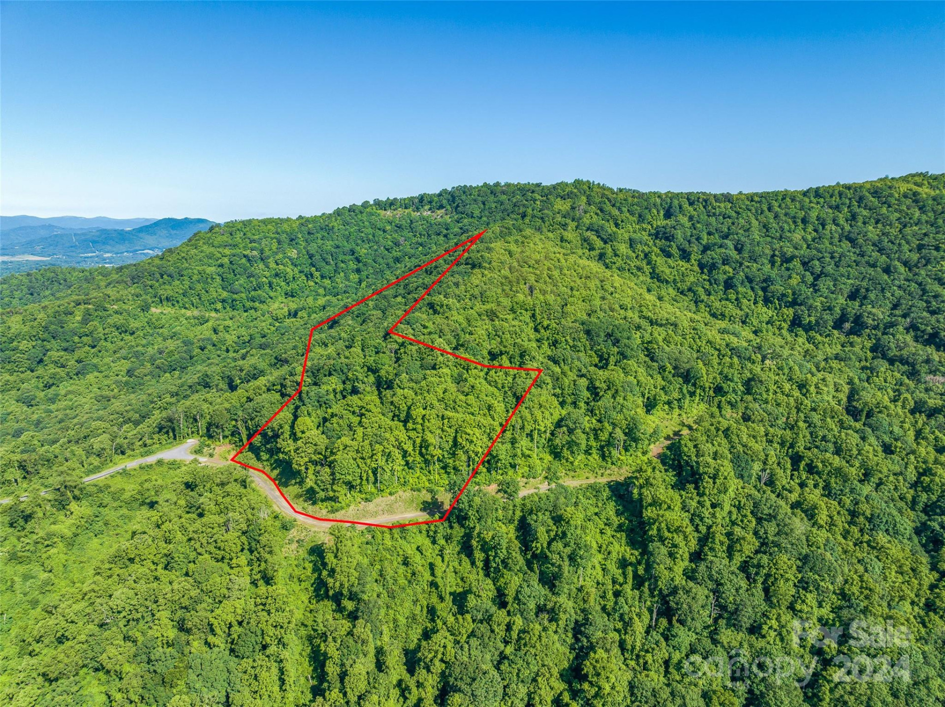 9999-29 Lovebird Lane #29 - Photo 7