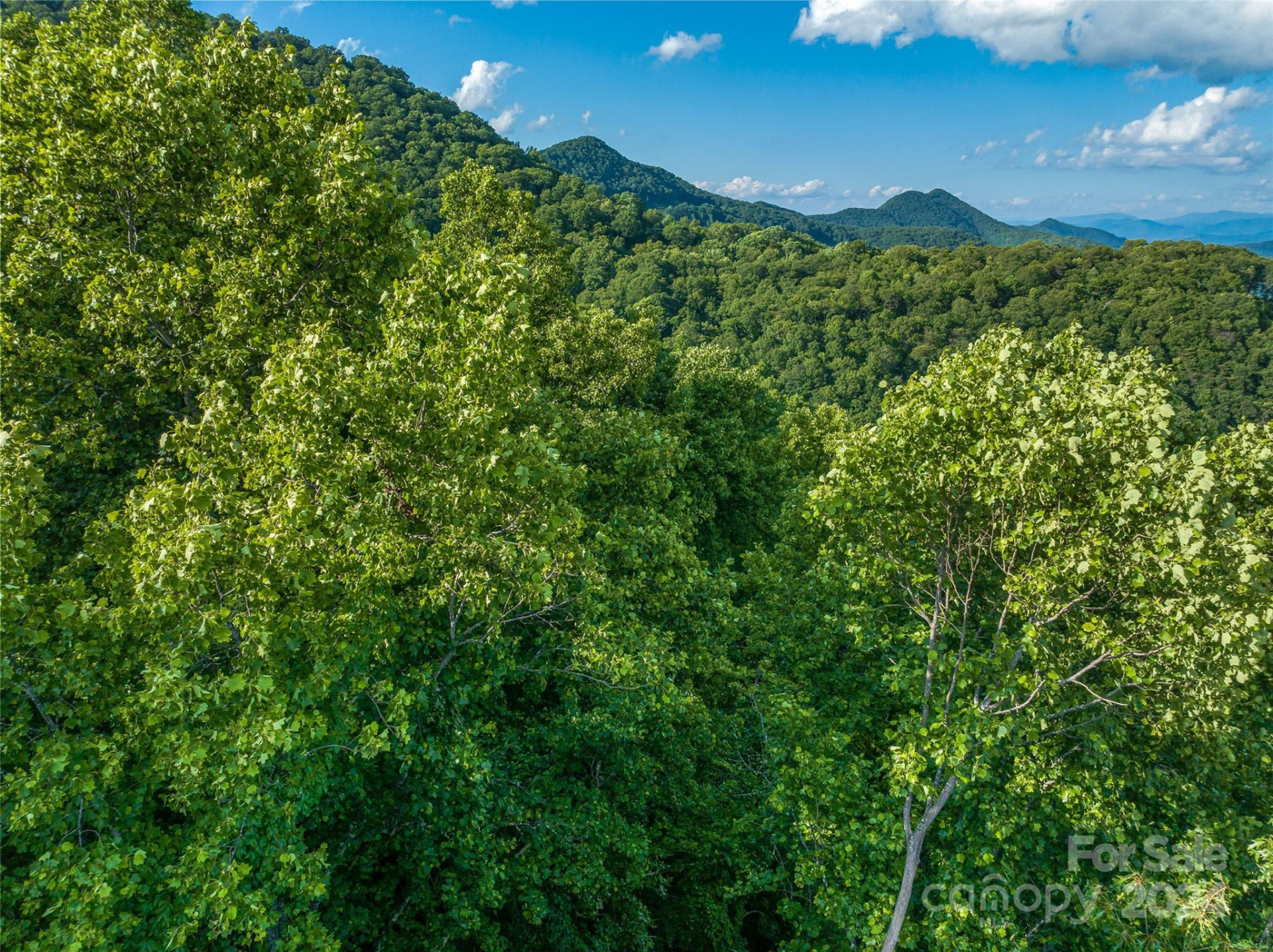 9999-29 Lovebird Lane #29 - Photo 8