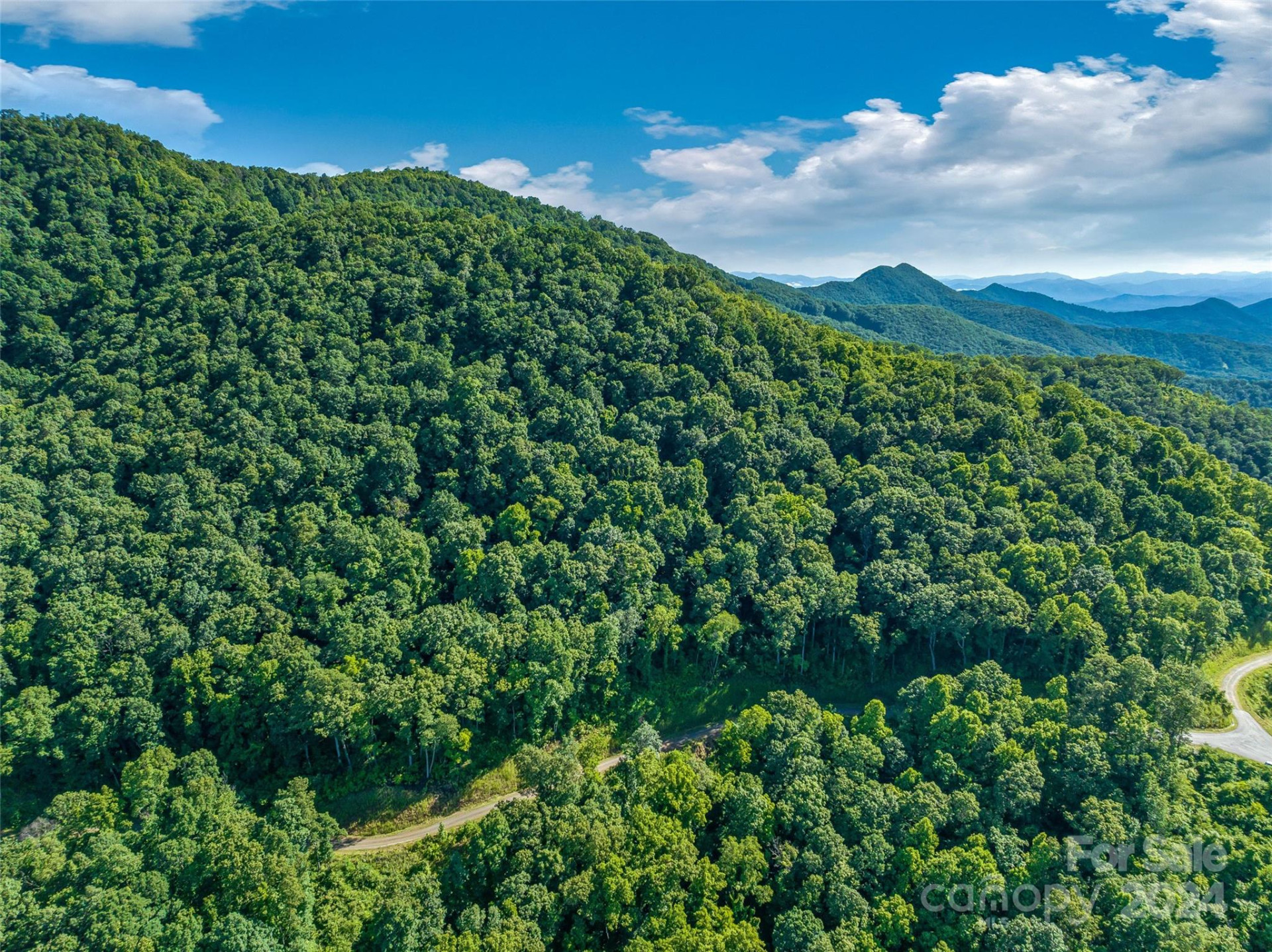 9999-29 Lovebird Lane #29 - Photo 9