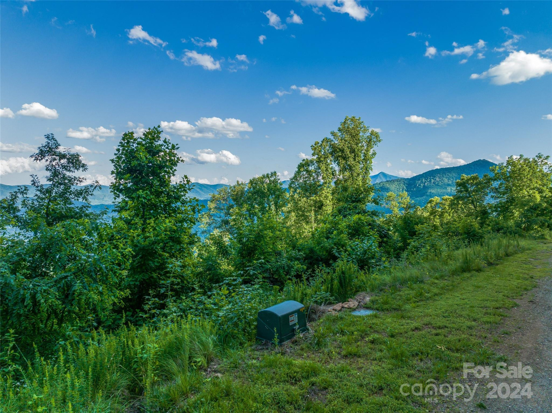 9999-29 Lovebird Lane #29 - Photo 10