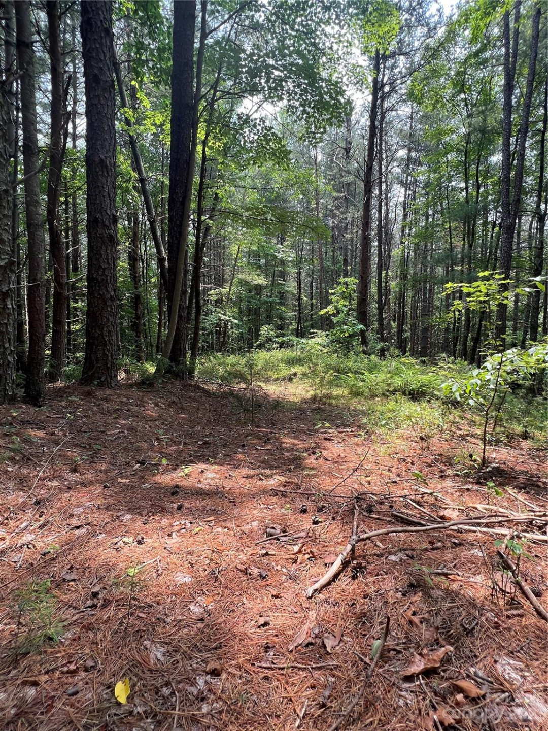 9589 Shortoff View Terrace #29 - Photo 11