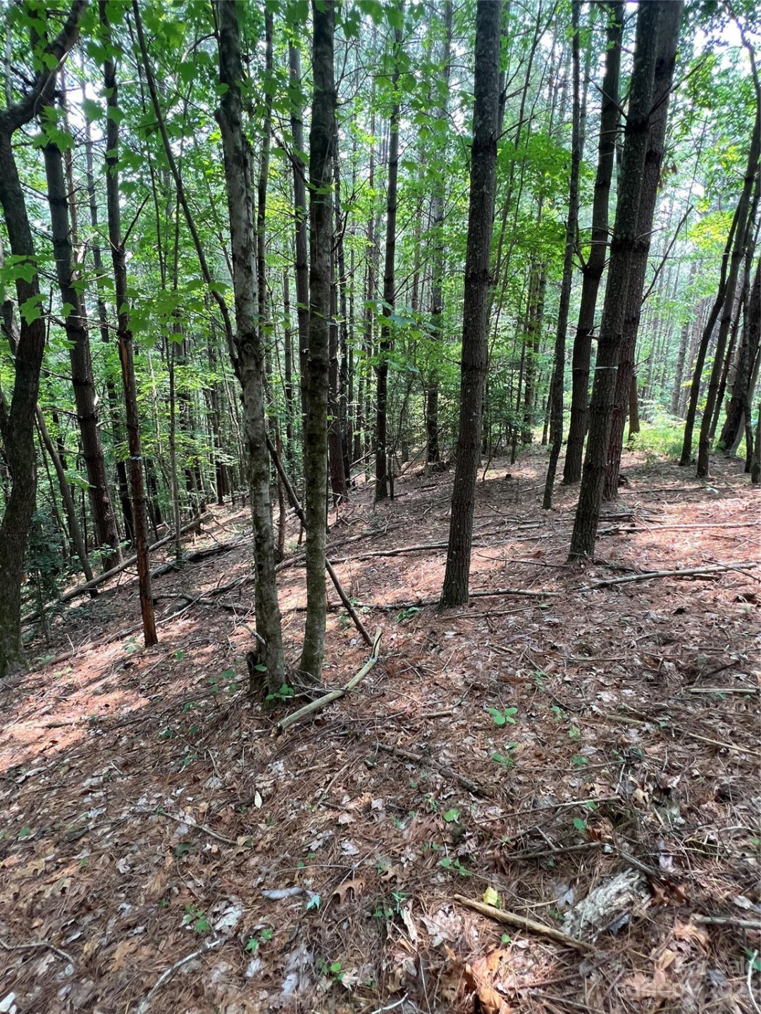 9589 Shortoff View Terrace #29 - Photo 12