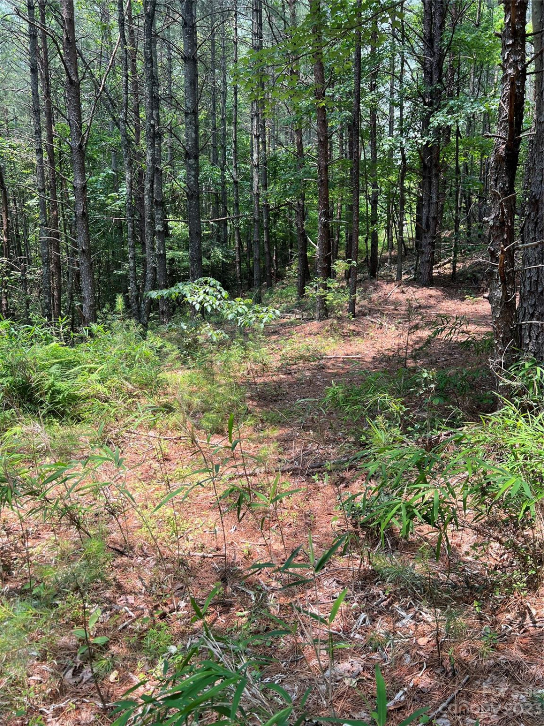 9589 Shortoff View Terrace #29 - Photo 13