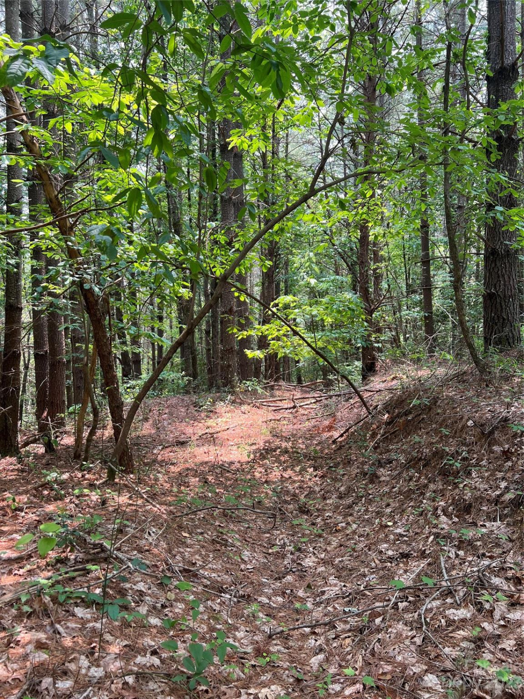 9589 Shortoff View Terrace #29 - Photo 14