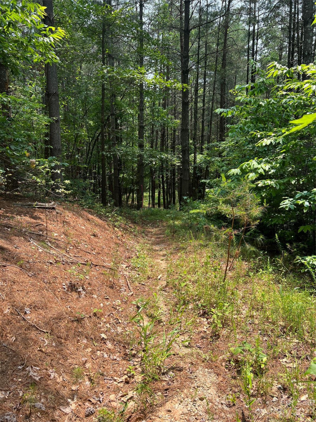 9589 Shortoff View Terrace #29 - Photo 17