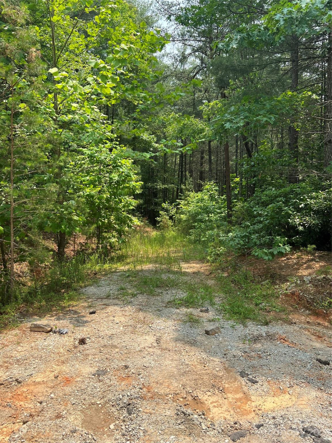 9589 Shortoff View Terrace #29 - Photo 19