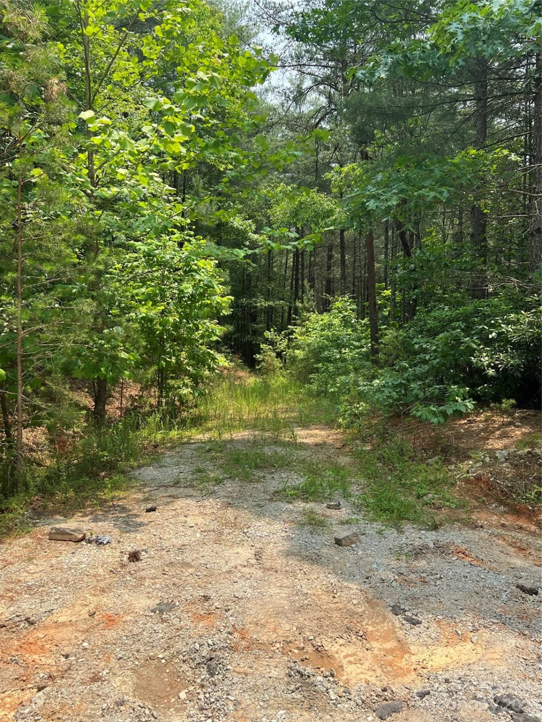 9589 Shortoff View Terrace #29 - Photo 19