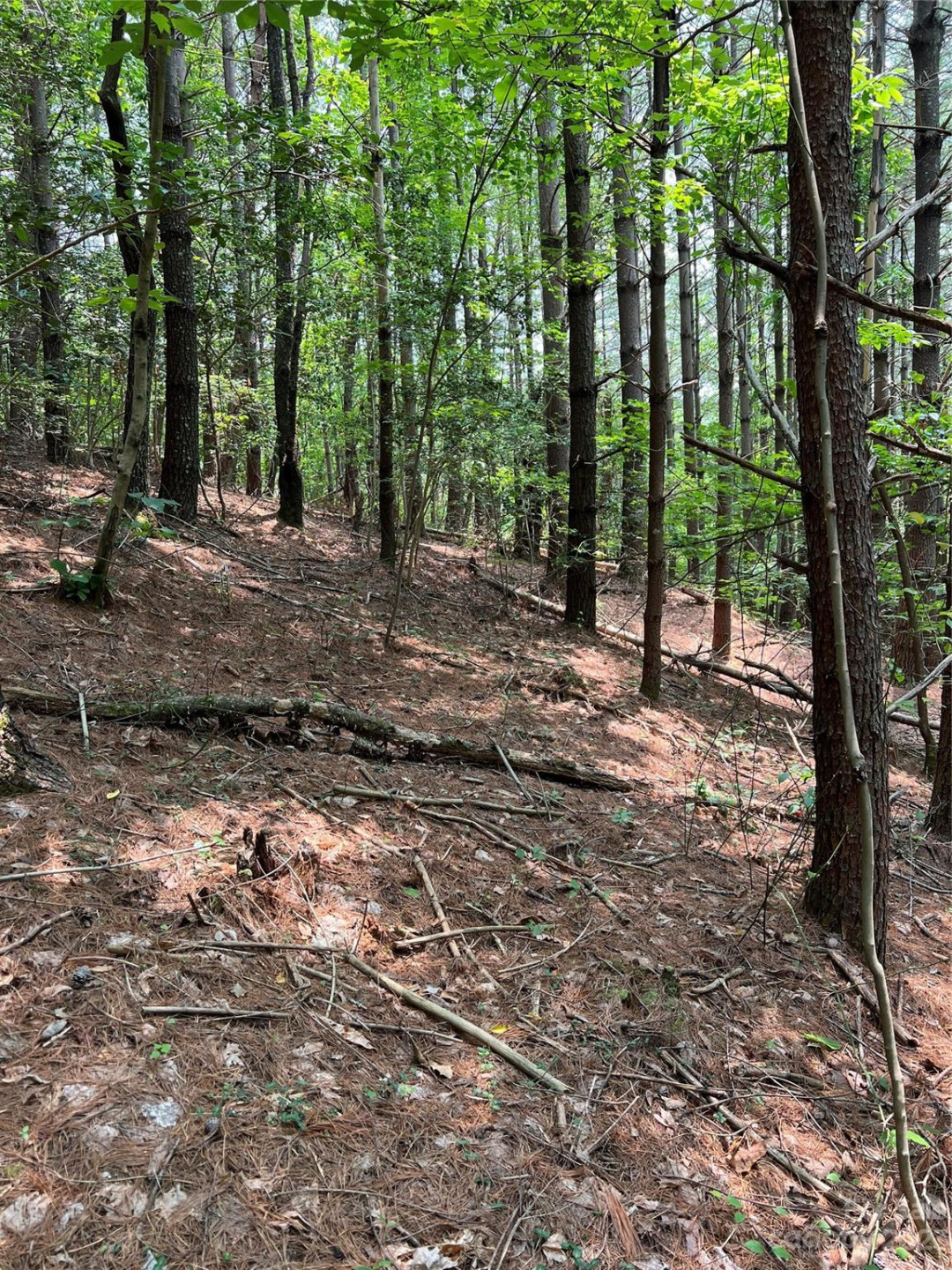 9589 Shortoff View Terrace #29 - Photo 5