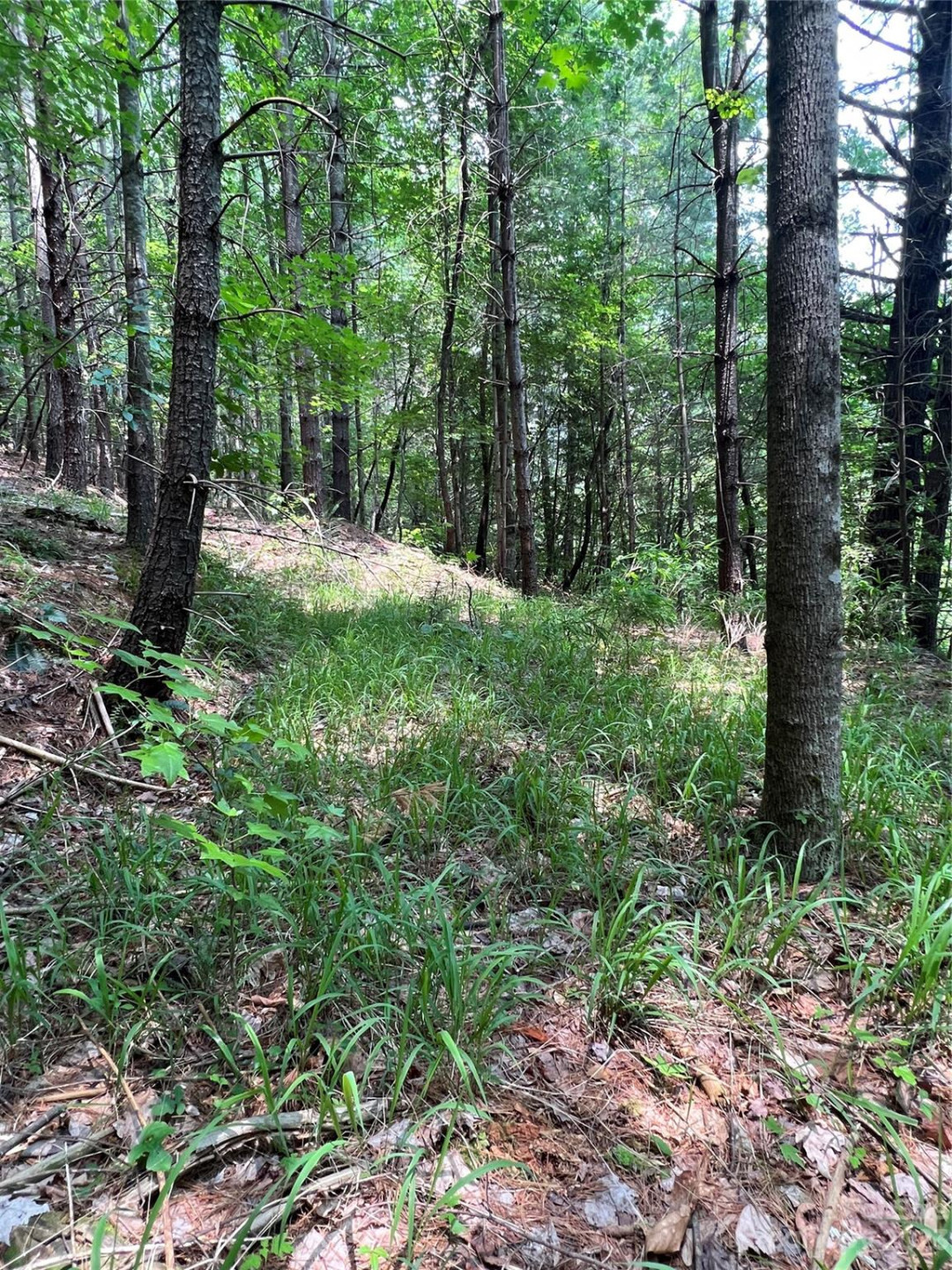 9589 Shortoff View Terrace #29 - Photo 6