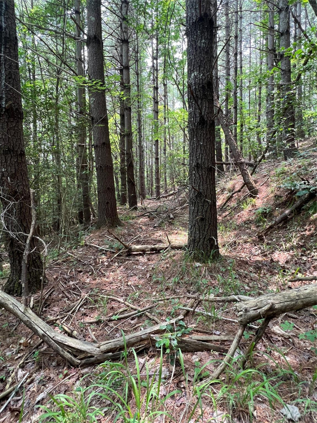 9589 Shortoff View Terrace #29 - Photo 7