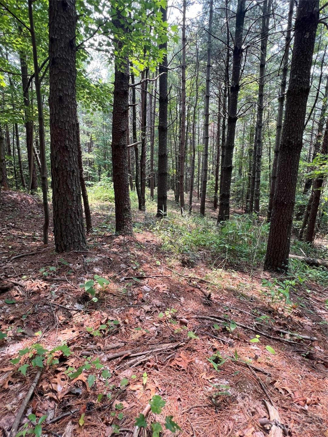 9589 Shortoff View Terrace #29 - Photo 8