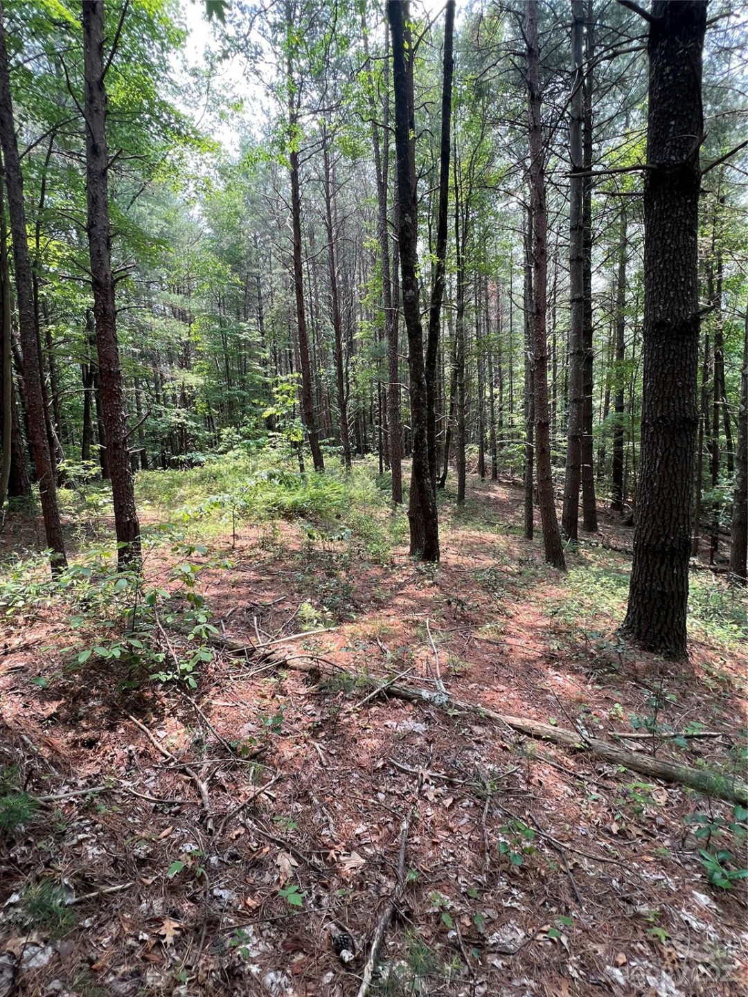 9589 Shortoff View Terrace #29 - Photo 9