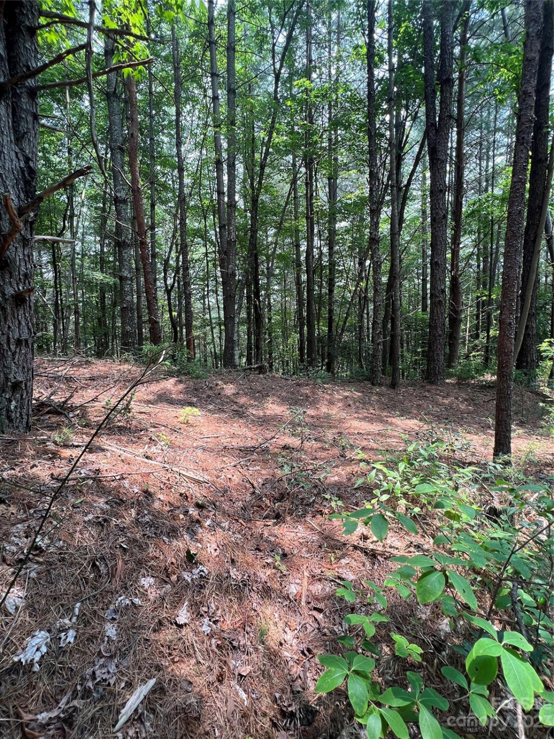 9589 Shortoff View Terrace #29 - Photo 10