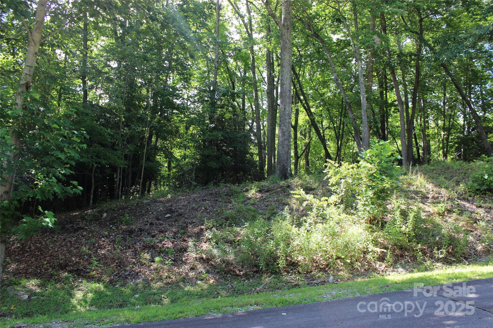 100 Ivywood Lane - Photo 18