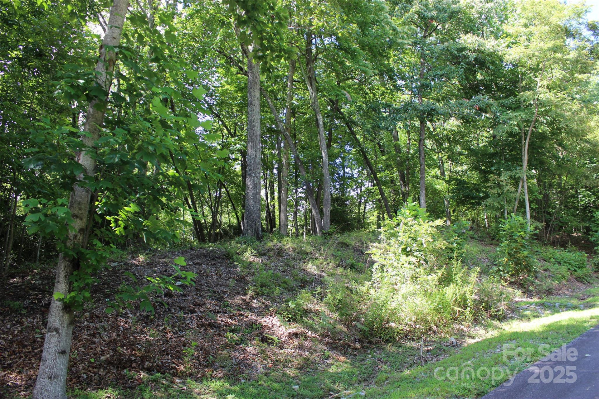 100 Ivywood Lane - Photo 19