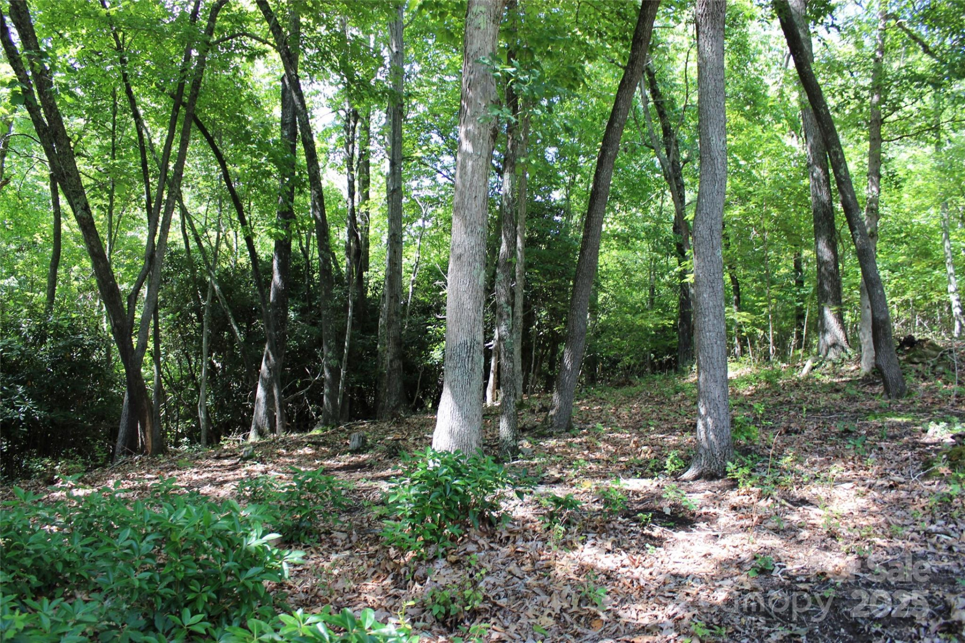 100 Ivywood Lane - Photo 20