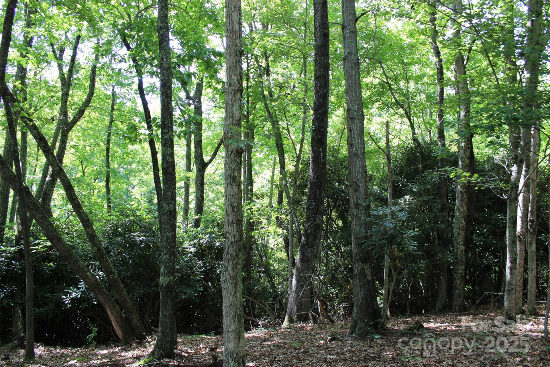 100 Ivywood Lane - Photo 21