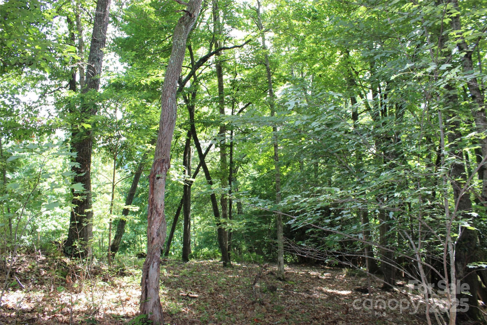 100 Ivywood Lane - Photo 22