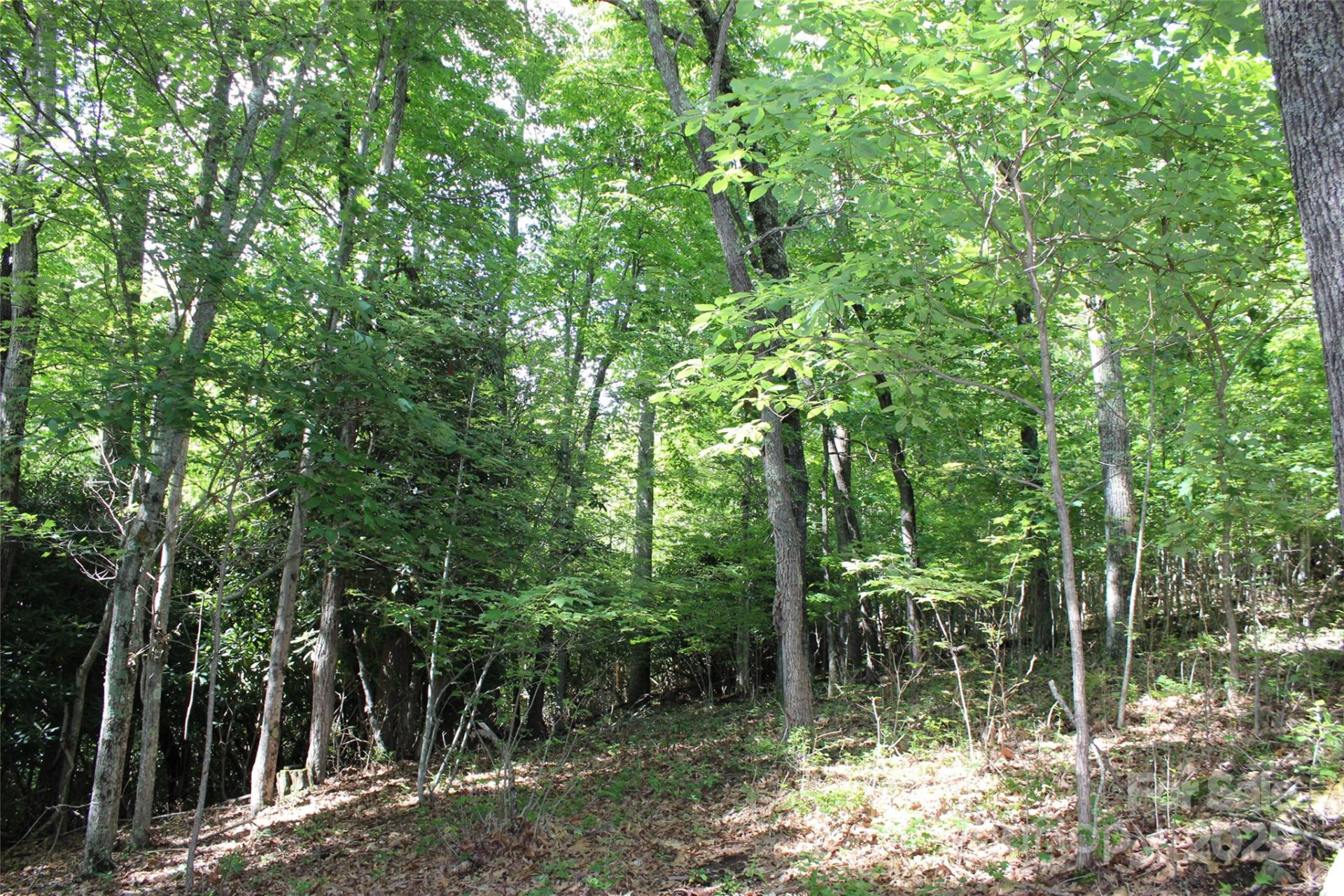 100 Ivywood Lane - Photo 23