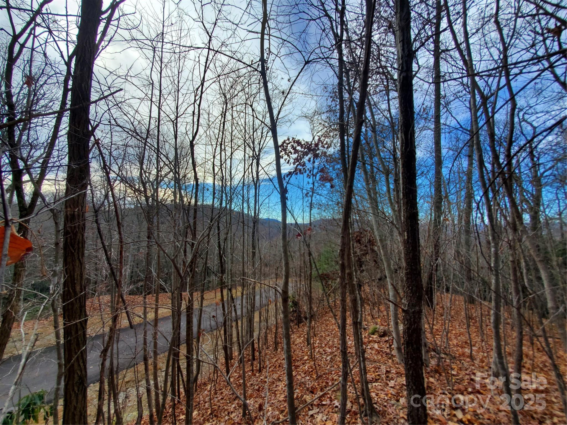 100 Ivywood Lane - Photo 25